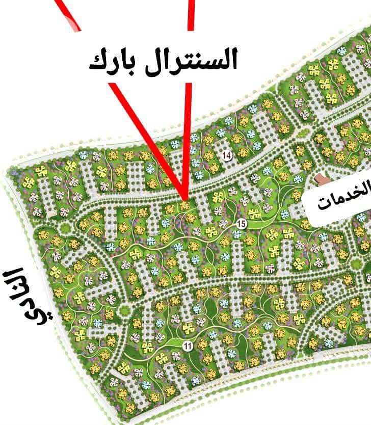 4 194520. jpg
