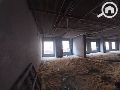 10+ Beds Villa for Sale in Katameya, Cairo - 1000044497. jpg