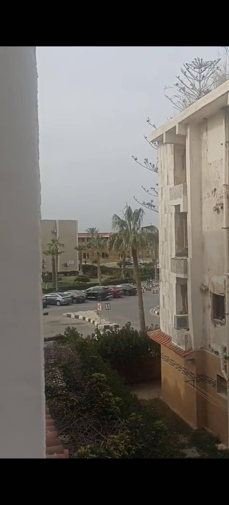 شقة مفروشة للايجار فاخرة مصيف بالمعمورة الشاطئ شقة مفروشة للايجار فاخرة مصيف بالمعمورة الشاطئ
