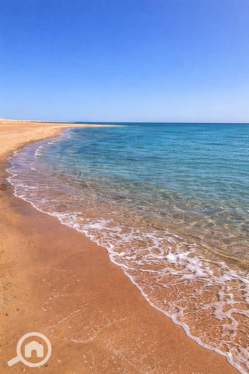 13 actual photo 2. png