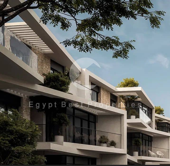6 IMG_0434. webp