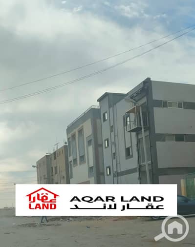 Factory for Rent in 10th of Ramadan, Sharqia - 60c17a95-2ba4-466d-b2e9-cf24e17b21dc. jpg Factory for Rent in 10th of Ramadan, Sharqia - 60c17a95-2ba4-466d-b2e9-cf24e17b21dc. jpg