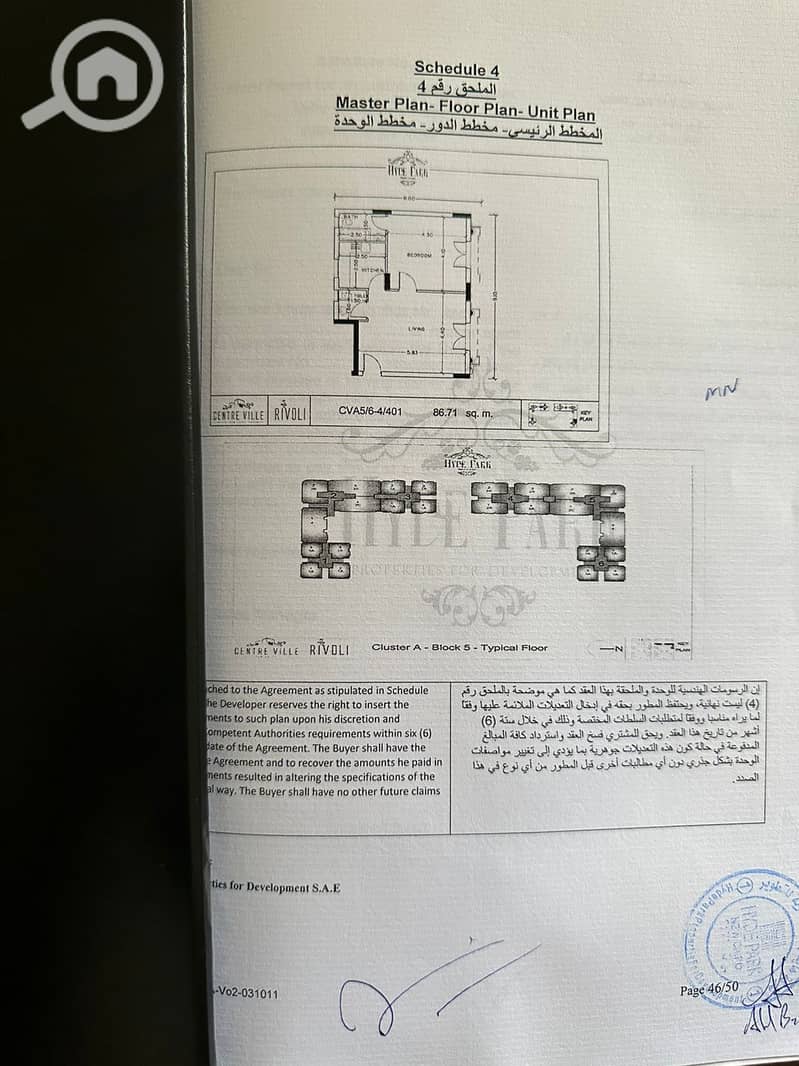 8 1000278449. jpg