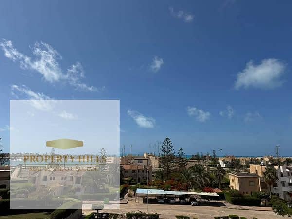 12 529444439_1803345647062249_924053361846142773_n. jpg