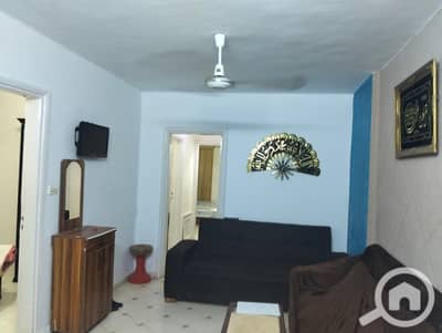 2 Bedroom Flat for Rent in Nakheel, Alexandria - 1000912339. jpg 2 Bedroom Flat for Rent in Nakheel, Alexandria - 1000912339. jpg