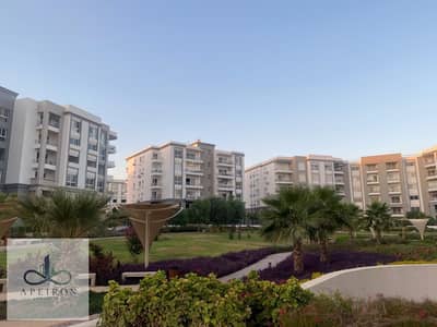 3 Bedroom Apartment for Rent in New Cairo, Cairo - e89c9871-43ab-4b30-87cc-bebd8c8edbc8. jpg
