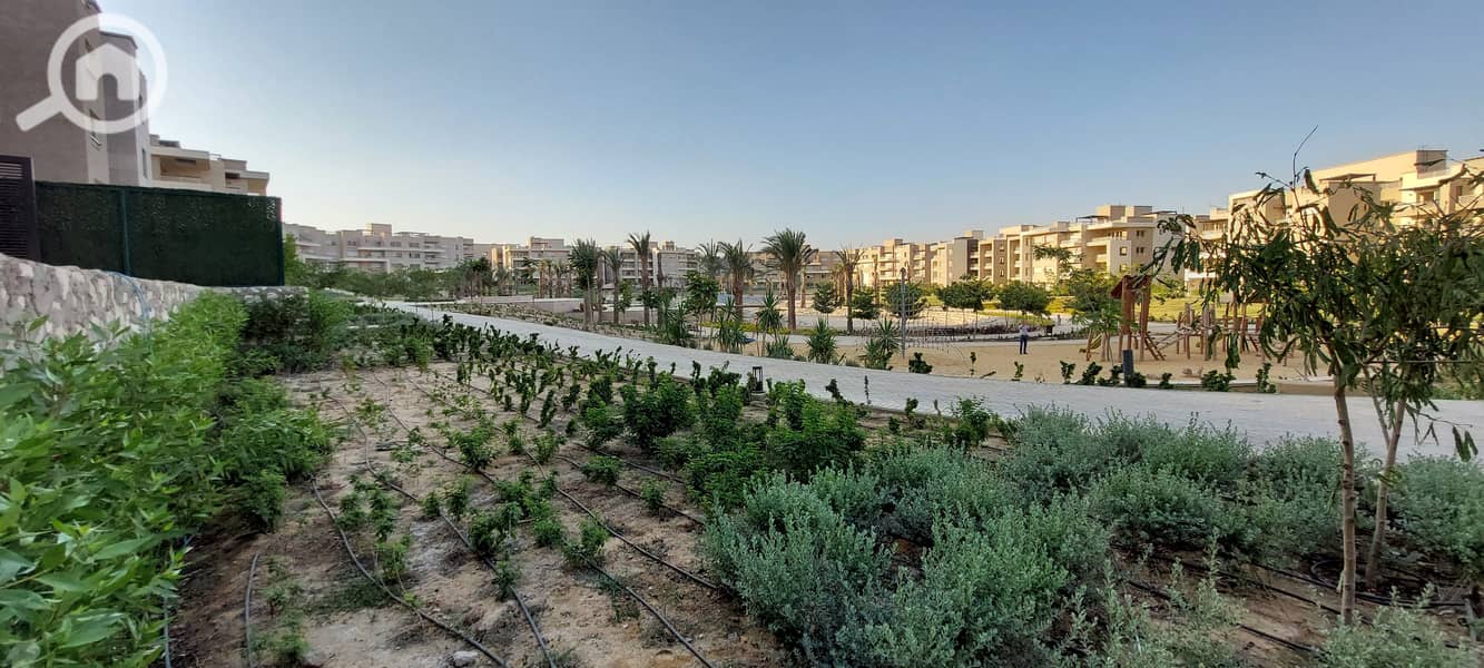 Studio flat to let in New Giza. Fully fitted kitchen with all electrical appliances. Nice view overlooking the street. Master bedroom, bathroom, - Ansicht 5