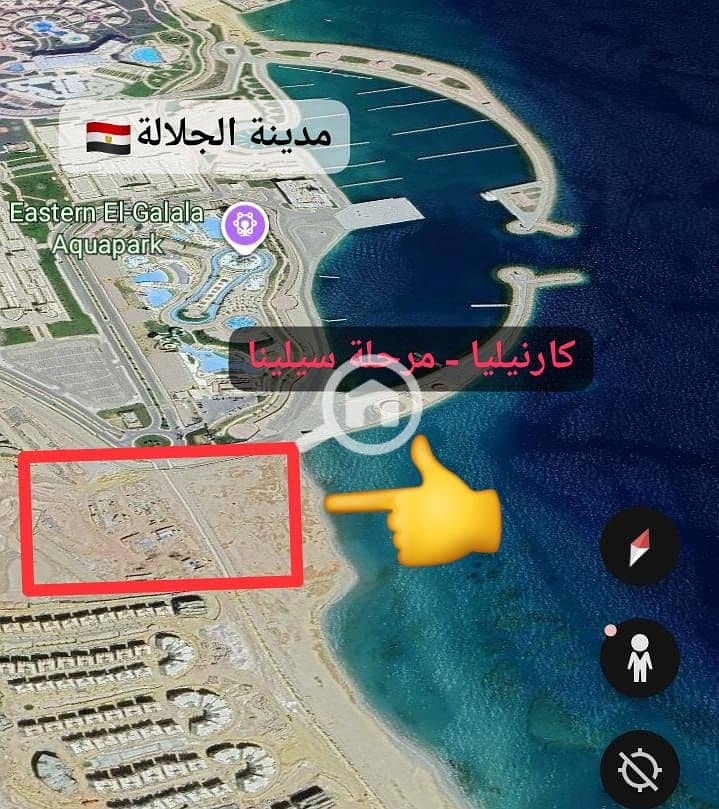 3 كارنيليا سيلينا. jpeg
