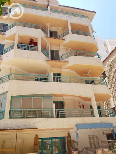 فلیٹ 2 غرفة نوم للبيع في النخيل، الإسكندرية - 1000620603. jpg