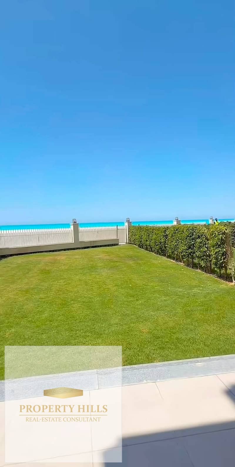 5 36830. jpg