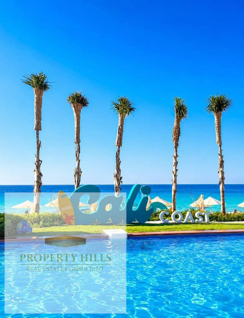 7 36861. jpg