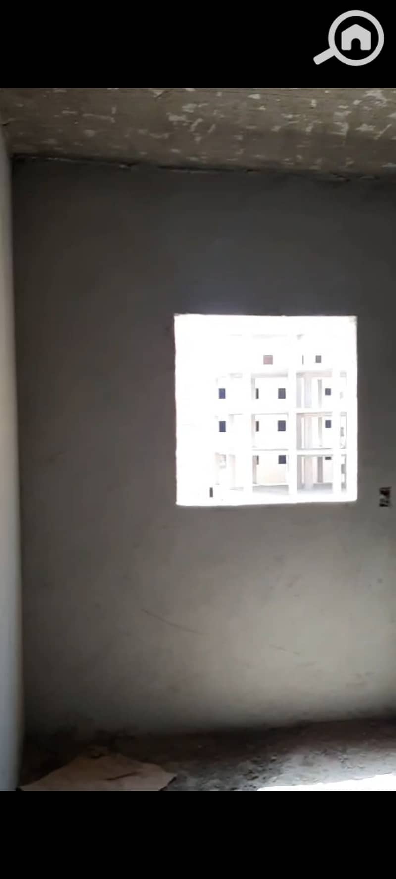 11 1000706161. jpg