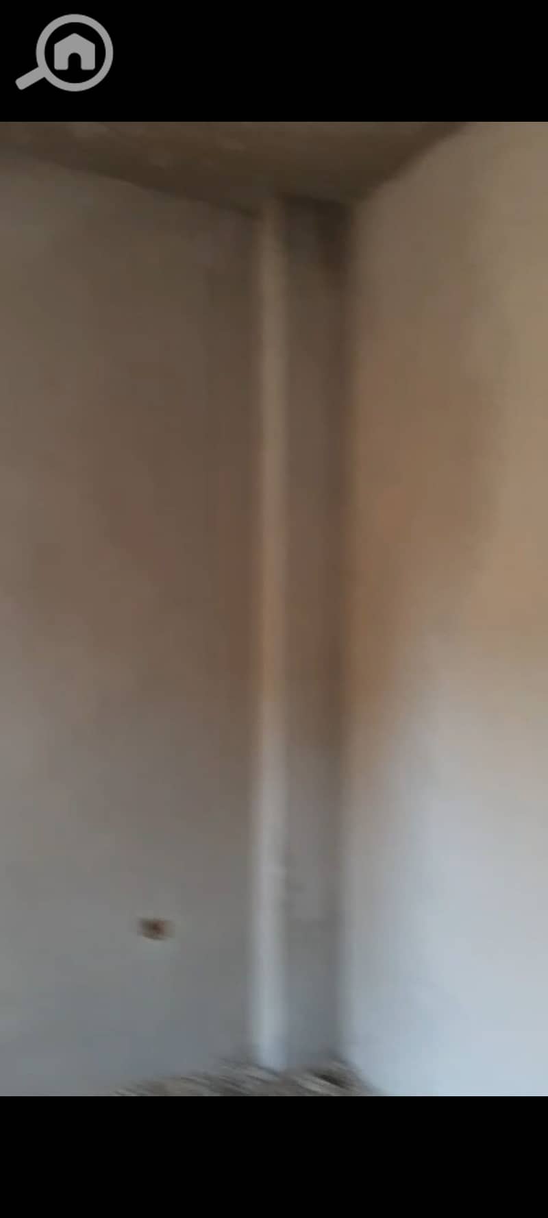 12 1000706163. jpg