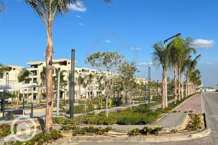 فیلا 6 غرف نوم للبيع في بالم هيلز، الإسكندرية - 1-33. jpg فیلا 6 غرف نوم للبيع في بالم هيلز، الإسكندرية - 1-33. jpg