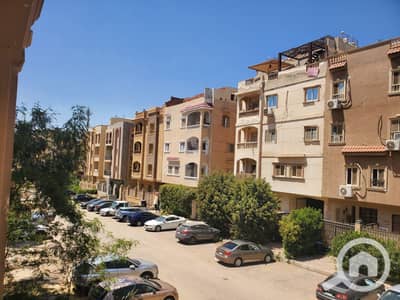 2 Bedroom Apartment for Rent in New Cairo, Cairo - 1000351712. jpg