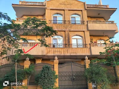 شقة 3 غرف نوم للبيع في القاهرة الجديدة، القاهرة - 2550089a-f141-47e9-a853-9765b3430a67. jpg شقة 3 غرف نوم للبيع في القاهرة الجديدة، القاهرة - 2550089a-f141-47e9-a853-9765b3430a67. jpg