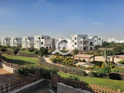 فیلا 6 غرف نوم للبيع في مدينة الشروق، القاهرة - 9c2041a8-e355-4dde-a3dc-d427fca4e06a. jpg فیلا 6 غرف نوم للبيع في مدينة الشروق، القاهرة - 9c2041a8-e355-4dde-a3dc-d427fca4e06a. jpg