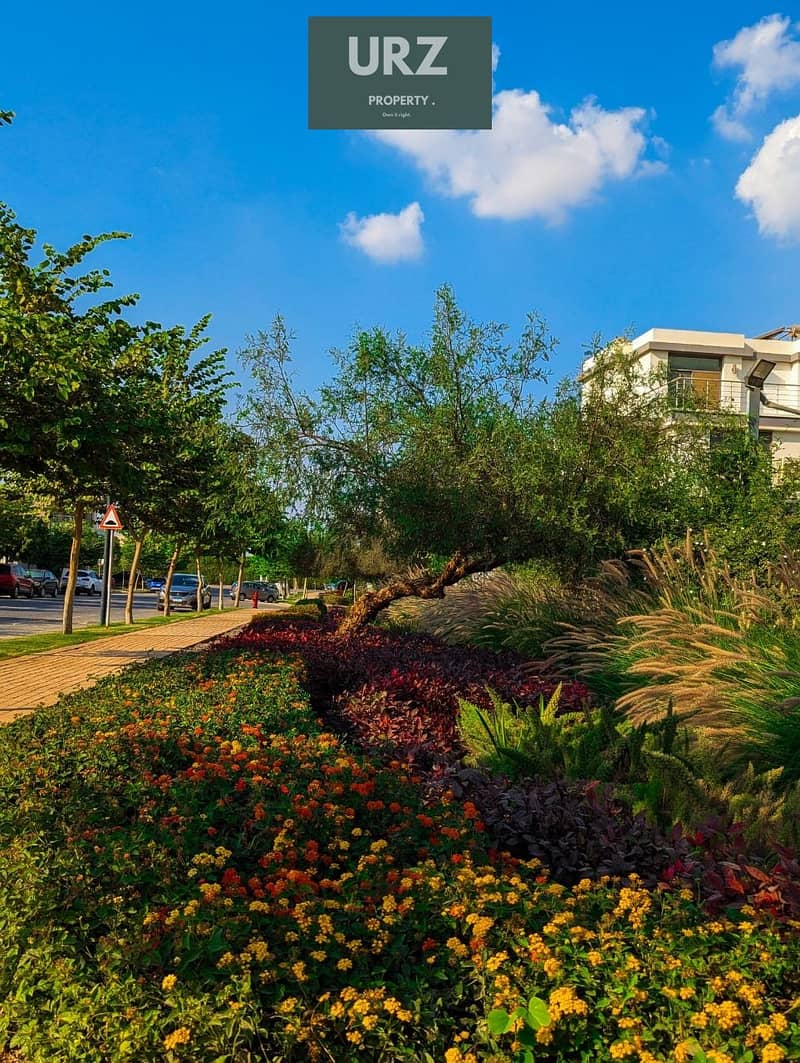 10 469182455_122162017904319615_5014452740276981955_n. jpg