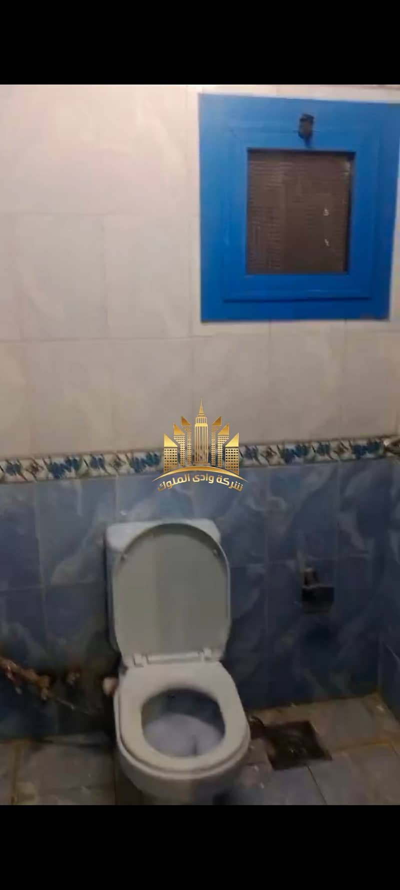 4 1001000380. jpg