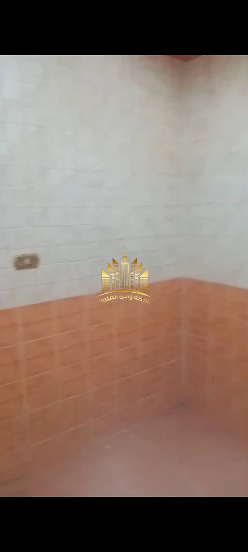 9 1000995836. jpg