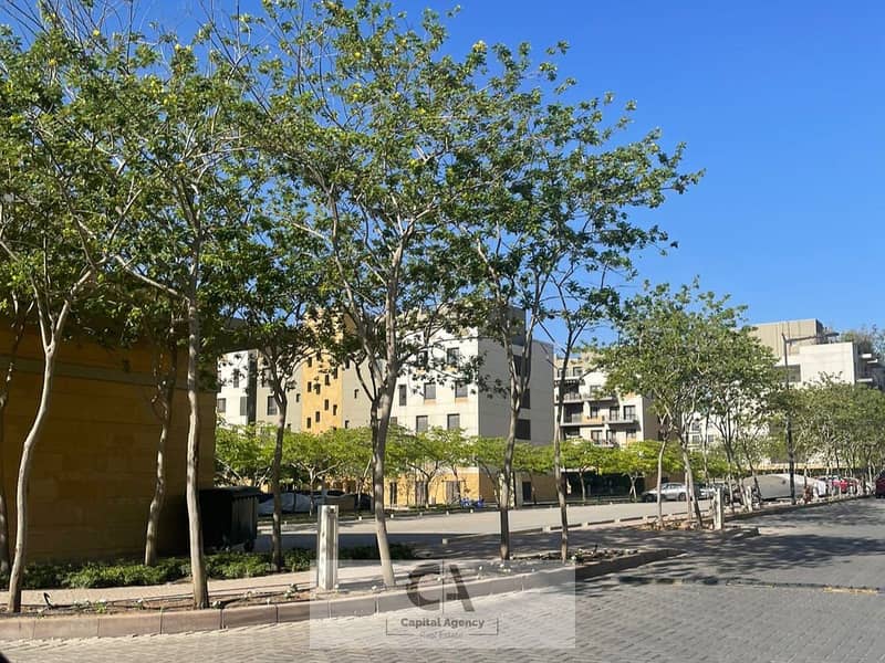 10 de6e3f43-bd18-4595-af7a-af528607e467. jpg