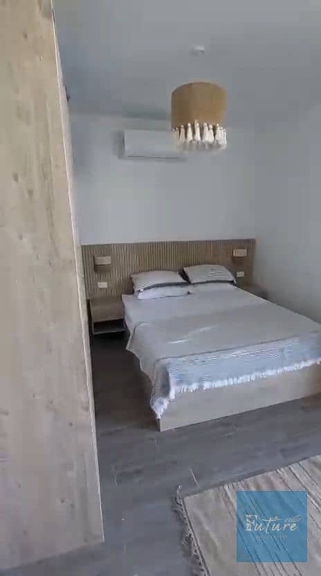 9 131699. jpg