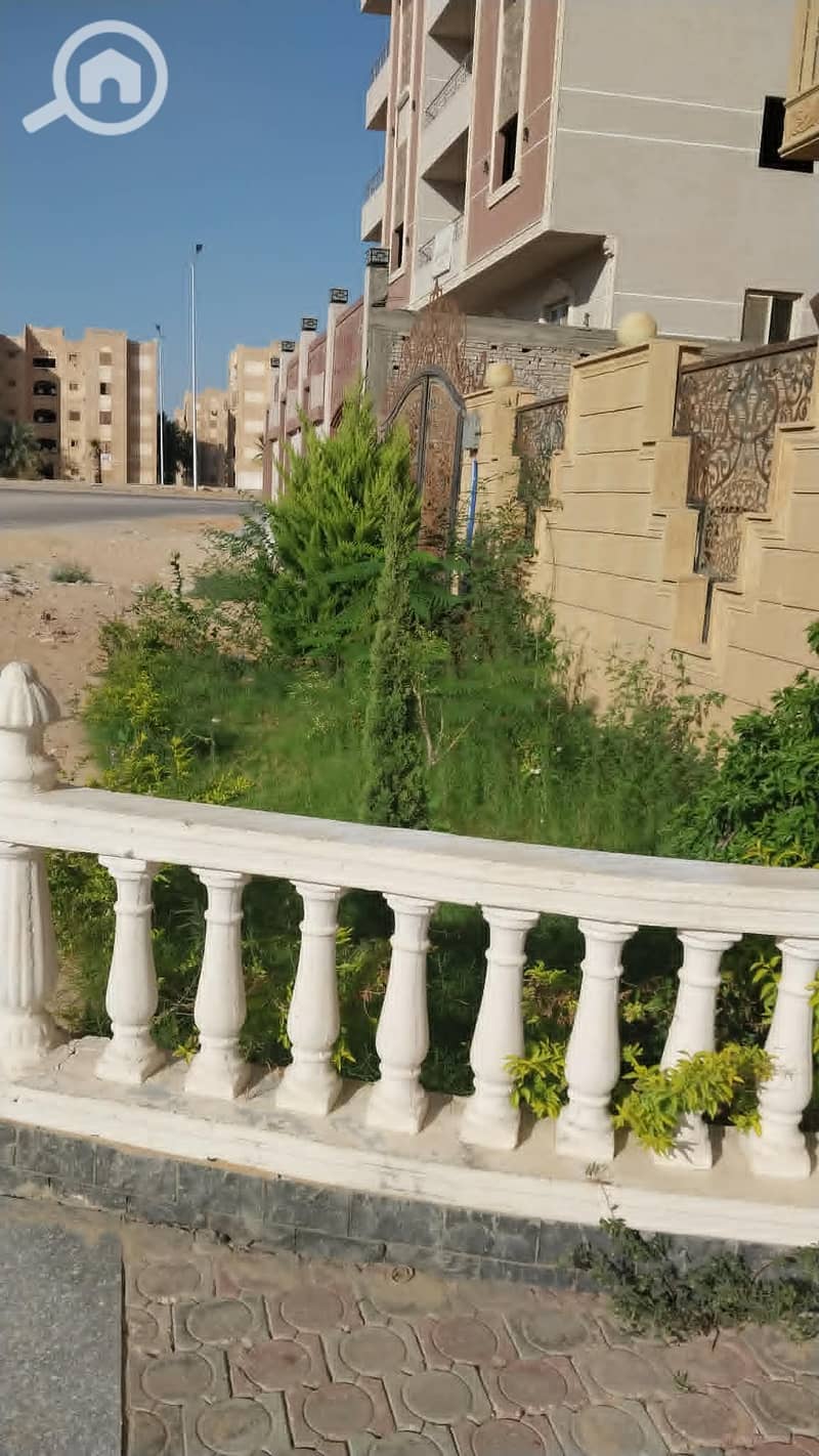 2 حي ب. jpg