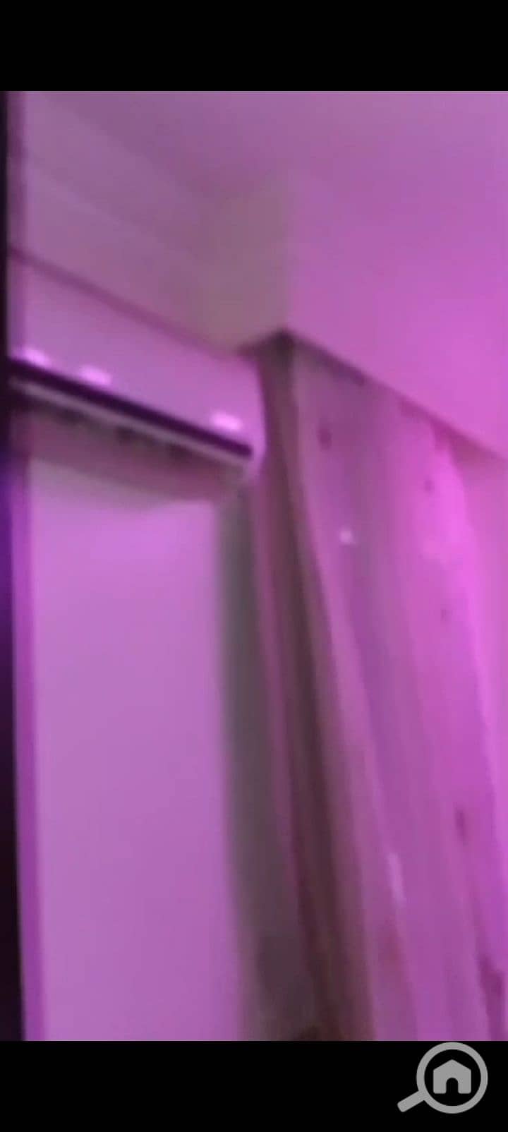 9 1000378067. jpg