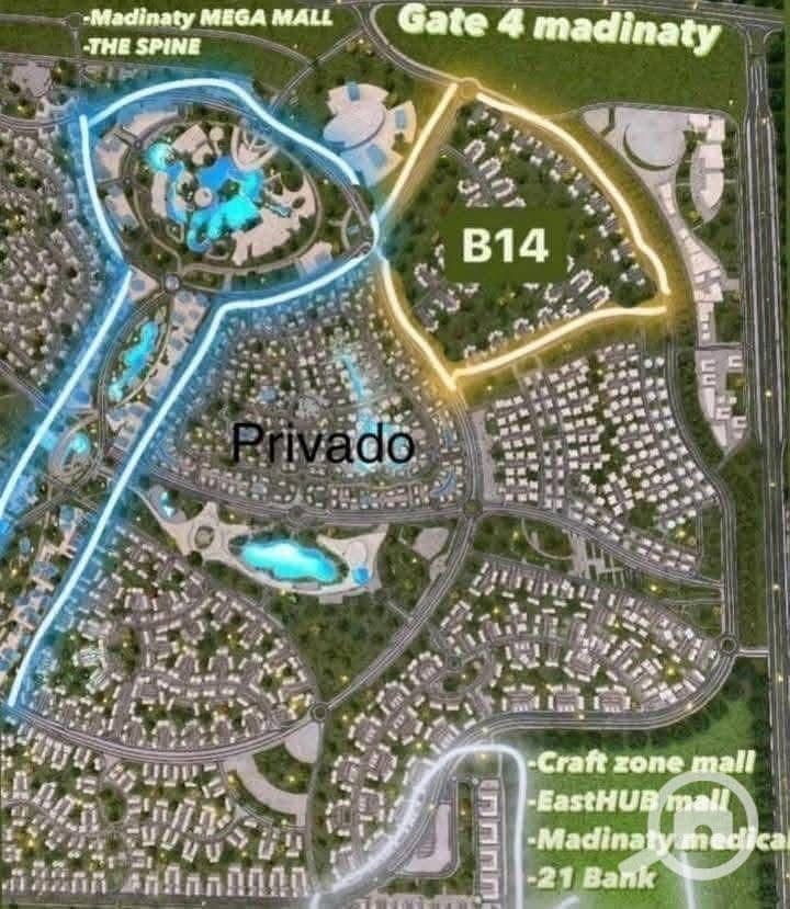 5 1000125506. jpg