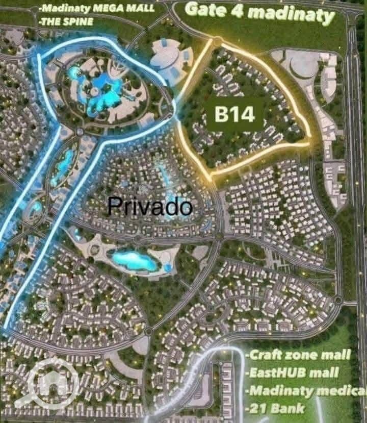 5 1000125506. jpg