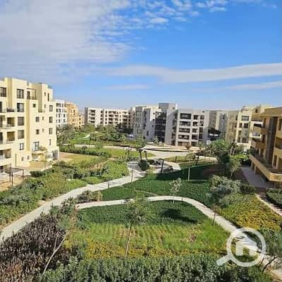 4 Bedroom Apartment for Sale in Sheikh Zayed, Giza - 6ca7a62a-ae14-4154-aed0-6187694dba4a. jpg 4 Bedroom Apartment for Sale in Sheikh Zayed, Giza - 6ca7a62a-ae14-4154-aed0-6187694dba4a. jpg