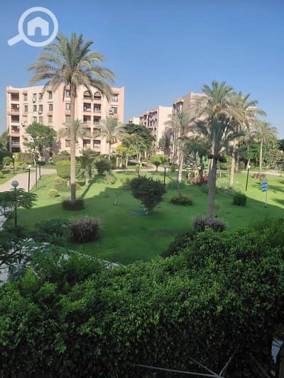 3 Bedroom Flat for Sale in New Cairo, Cairo - WhatsApp Image 2026-07-09 at 9.42. 10 PM (1). jpeg 3 Bedroom Flat for Sale in New Cairo, Cairo - WhatsApp Image 2026-07-09 at 9.42. 10 PM (1). jpeg