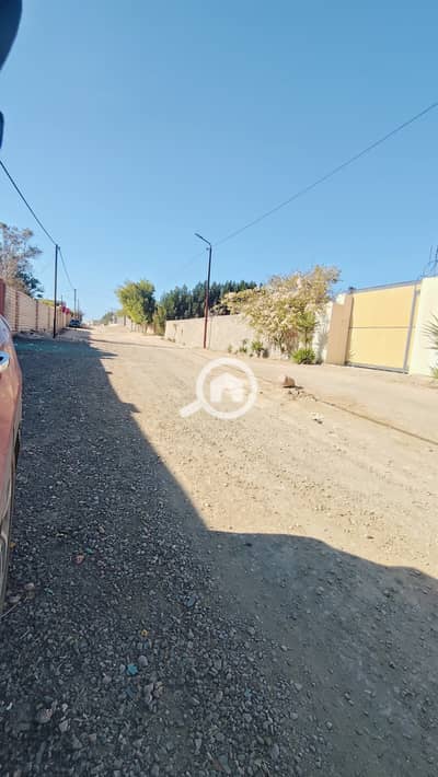 Commercial Land for Sale in King Mariout, Alexandria - 1000001534. jpg Commercial Land for Sale in King Mariout, Alexandria - 1000001534. jpg