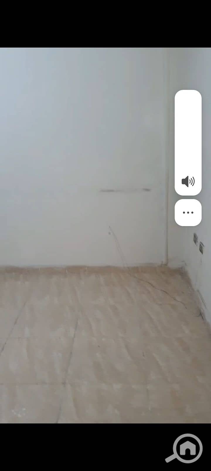 8 1000378486. jpg
