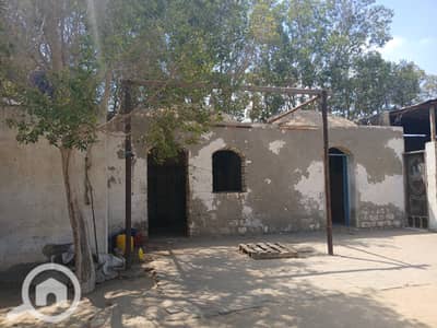 Agricultural Land for Sale in Salam City, Cairo - 6a07bea1-77ee-4fc3-af37-24096ba97df7. jpg Agricultural Land for Sale in Salam City, Cairo - 6a07bea1-77ee-4fc3-af37-24096ba97df7. jpg