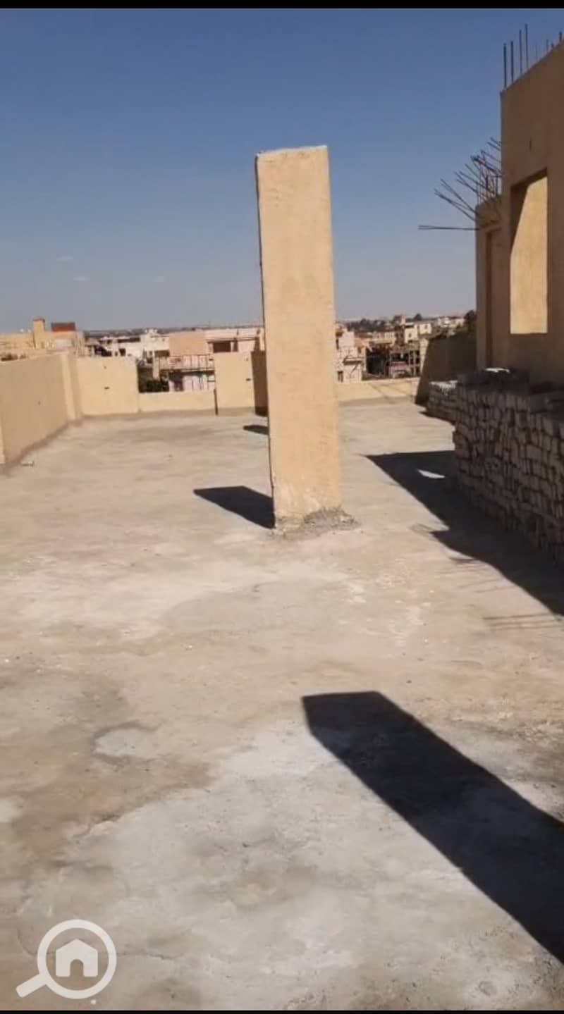 5 1000646035. jpg