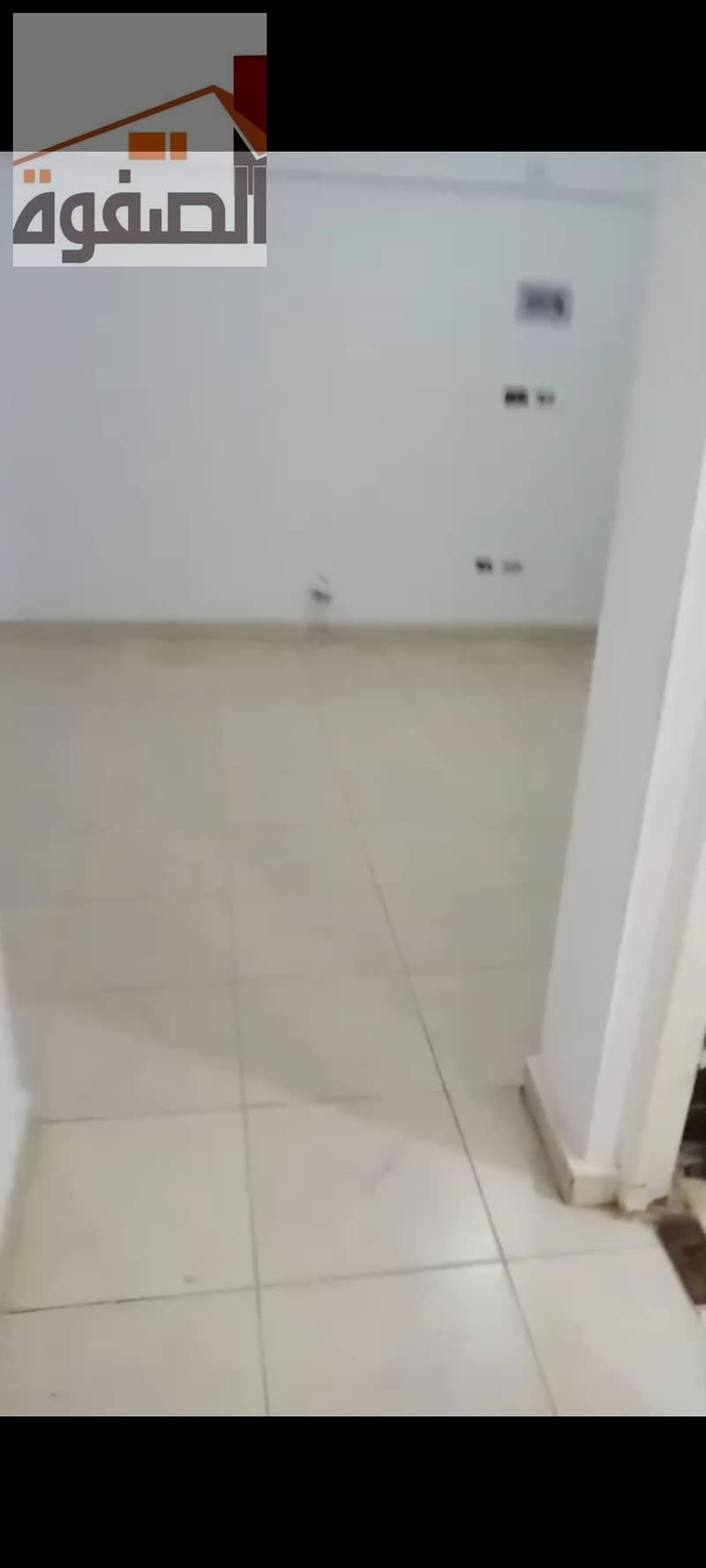 10 1000691664. jpg
