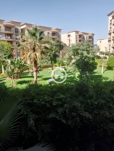 شقة 3 غرف نوم للايجار في القاهرة الجديدة، القاهرة - WhatsApp Image 2026-07-09 at 7.20. 14 PM (1). jpeg شقة 3 غرف نوم للايجار في القاهرة الجديدة، القاهرة - WhatsApp Image 2026-07-09 at 7.20. 14 PM (1). jpeg
