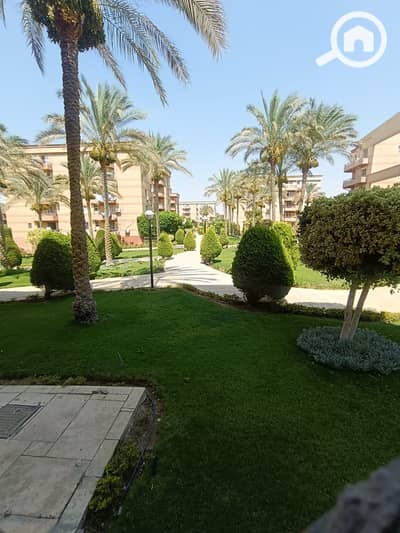 3 Bedroom Apartment for Rent in New Cairo, Cairo - WhatsApp Image 2026-07-09 at 7.13. 41 PM. jpeg 3 Bedroom Apartment for Rent in New Cairo, Cairo - WhatsApp Image 2026-07-09 at 7.13. 41 PM. jpeg