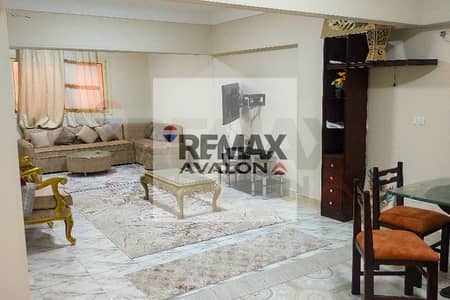 2 Bedroom Apartment for Rent in Mandara, Alexandria - 1. jpg 2 Bedroom Apartment for Rent in Mandara, Alexandria - 1. jpg