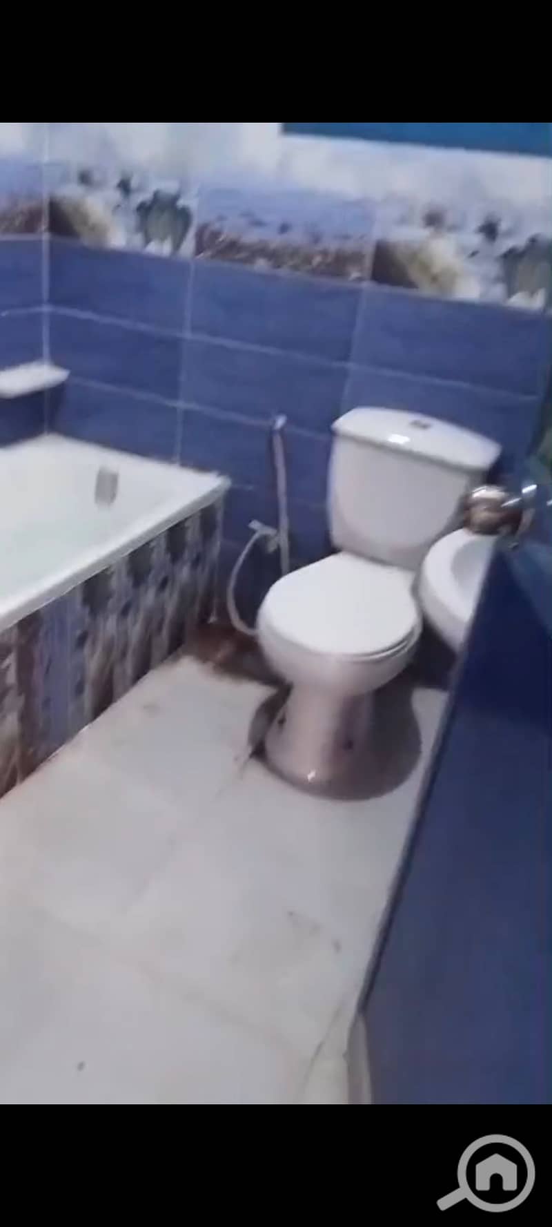10 49404. jpg