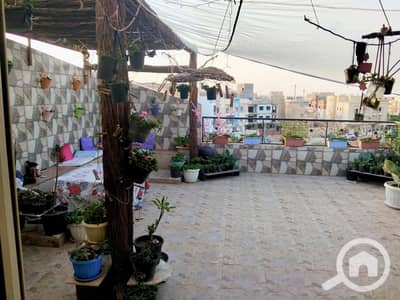 فلیٹ 4 غرف نوم للبيع في مدينة الشروق، القاهرة - WhatsApp Image 2026-07-09 at 7.31. 28 PM. jpeg فلیٹ 4 غرف نوم للبيع في مدينة الشروق، القاهرة - WhatsApp Image 2026-07-09 at 7.31. 28 PM. jpeg