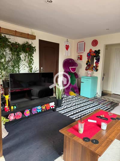 1 Bedroom Flat for Rent in Maadi, Cairo - bb9b1870-4ae5-44cc-895b-4d9a08f550ea. jpeg 1 Bedroom Flat for Rent in Maadi, Cairo - bb9b1870-4ae5-44cc-895b-4d9a08f550ea. jpeg