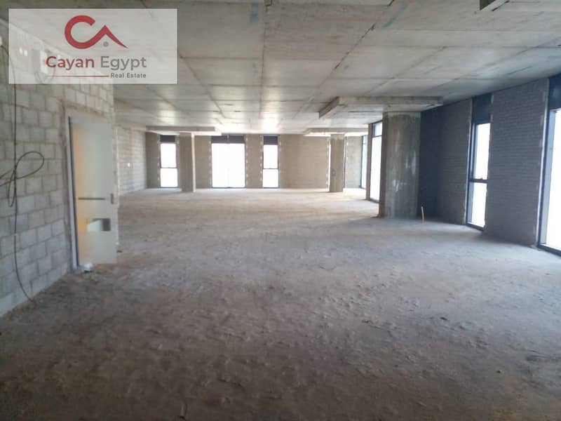 6 WhatsApp Image 2024-10-16 at 3.14. 16 AM (6). jpeg
