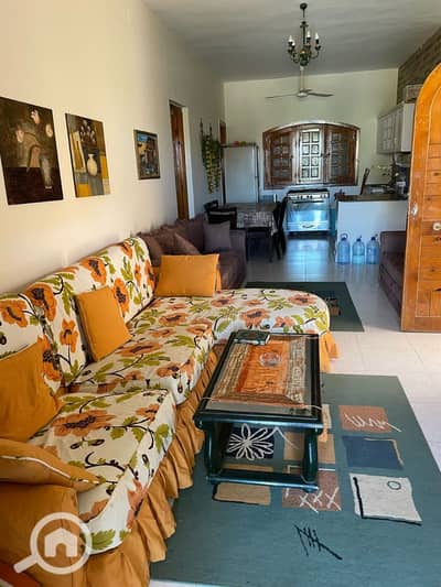 3 Bedroom Chalet for Rent in North Coast, Matruh - IMG-20260520-WA0097. jpg 3 Bedroom Chalet for Rent in North Coast, Matruh - IMG-20260520-WA0097. jpg