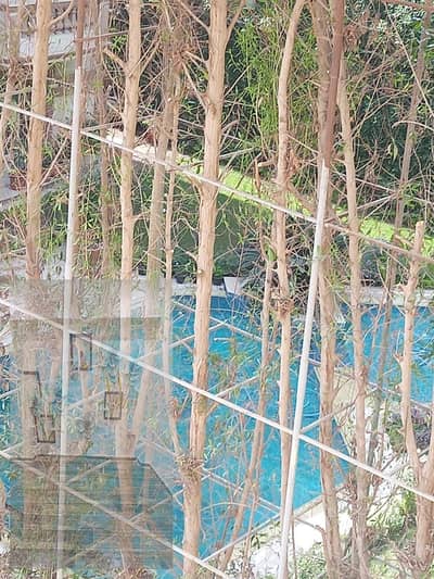 شقة 3 غرف نوم للبيع في حدائق الاهرام، الجيزة - 1001780886. jpg شقة 3 غرف نوم للبيع في حدائق الاهرام، الجيزة - 1001780886. jpg