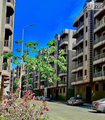 2 Bedroom Flat for Sale in Katameya, Cairo - WhatsApp Image 2026-07-11 at 11.34. 16 AM. jpeg 2 Bedroom Flat for Sale in Katameya, Cairo - WhatsApp Image 2026-07-11 at 11.34. 16 AM. jpeg