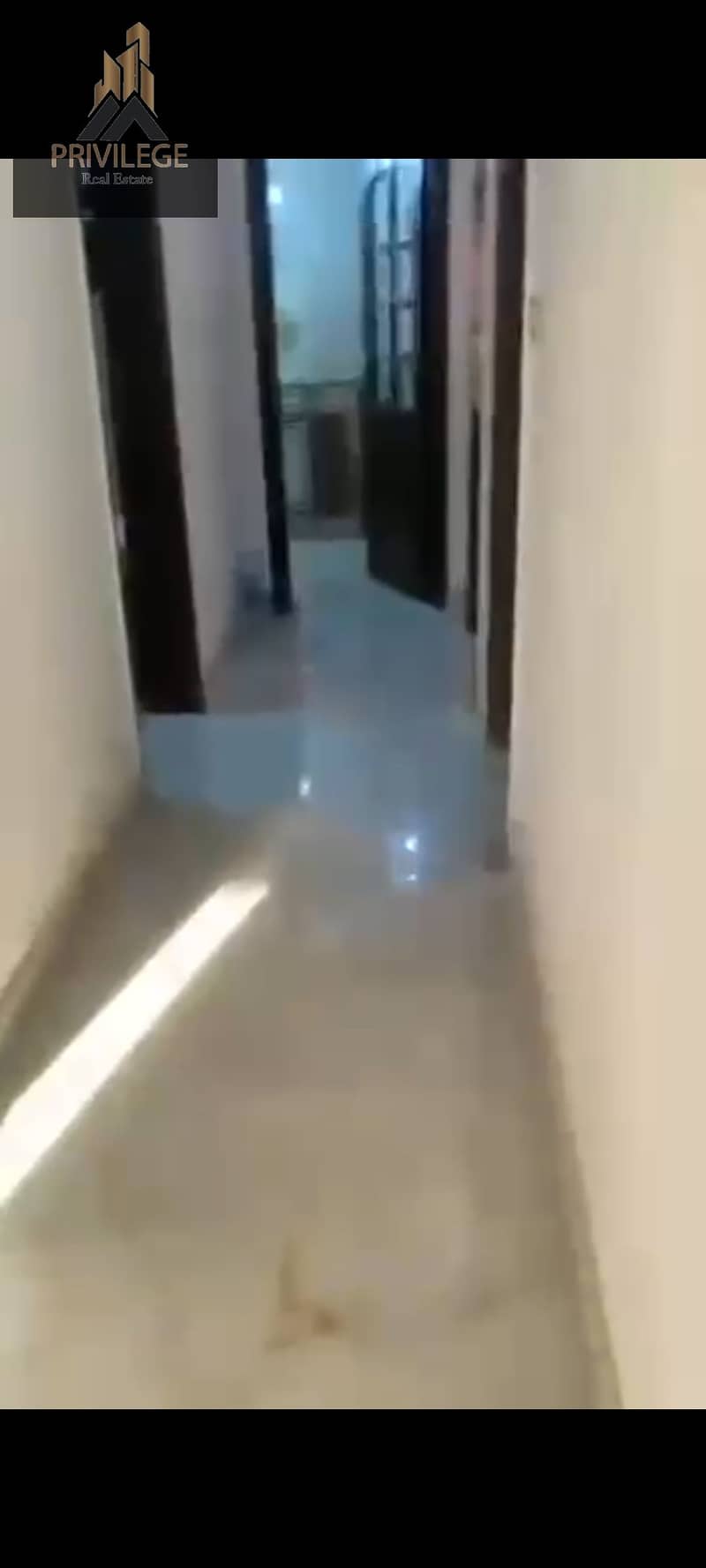 3 1000228461. jpg