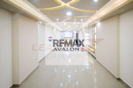 3 Bedroom Apartment for Rent in Gianaclis, Alexandria - 1 (1). jpg 3 Bedroom Apartment for Rent in Gianaclis, Alexandria - 1 (1). jpg