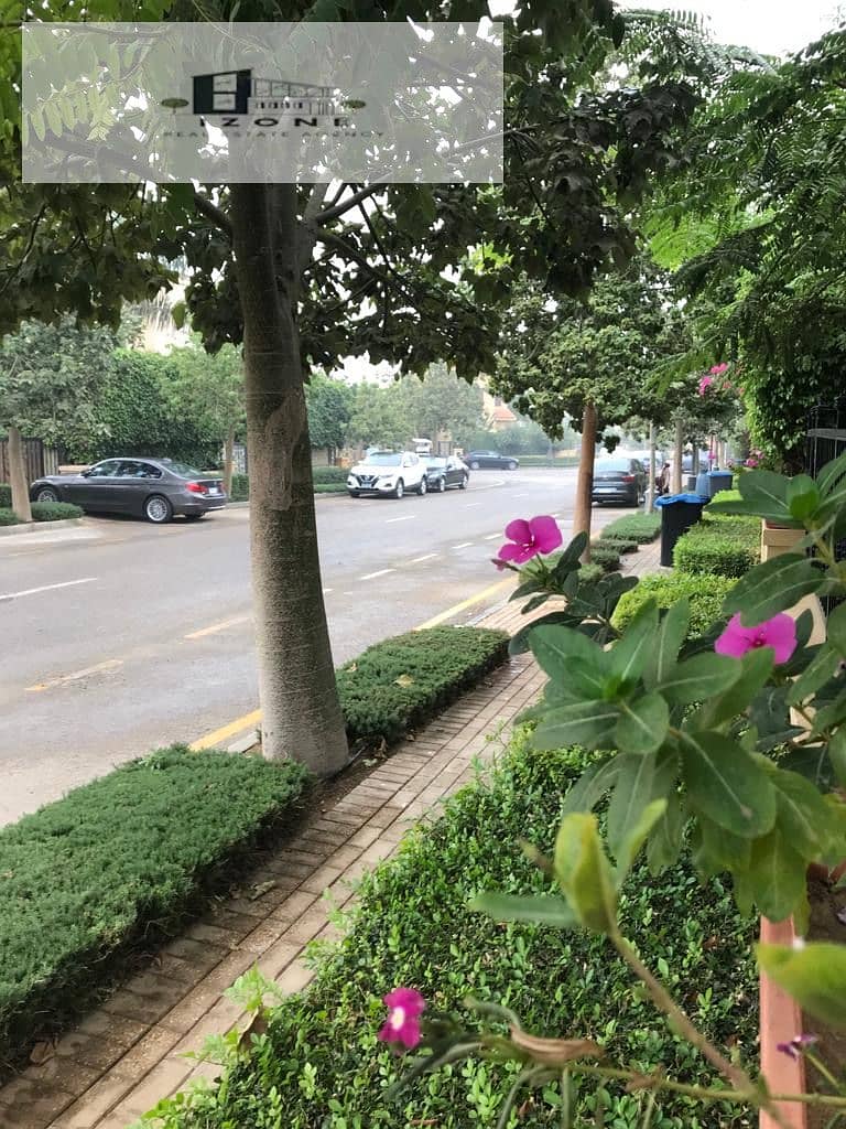 11 31016853-7ef0-49b5-b93d-ffd51468ee15. jpeg